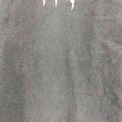 ヘインズ Hanes 00S WORLD DIS MIKE 両面プリント Tシャツ メンズ import:L