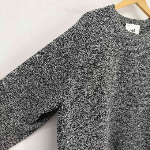 ピージージー PGG ポリエステルヤーン クルーネック L/S ニット メンズ