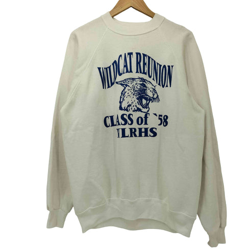 ヘインズ Hanes 90s USA製 3段 フットボールチーム ラグラン クルーネックスウェット メンズ import:XL