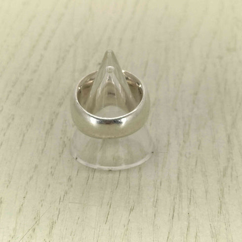 シルバーリング メンズ 13号