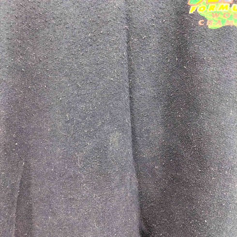 GOODSPORTS 90S オーストラリア製 F1 TRIPLE WORLD CHAMPION 両面 プリント クルーネック スウェット メンズ import:L