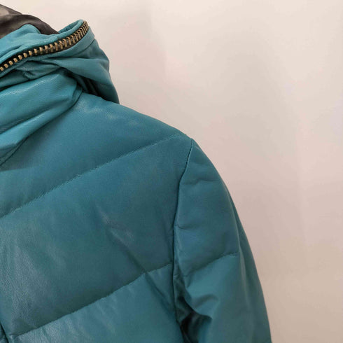 TASS STANDARD 山羊革 レザー ダウンジャケット メンズ import:M