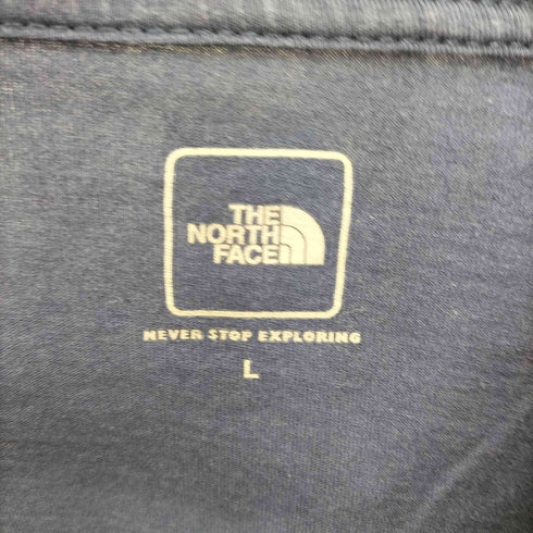 ザノースフェイス THE NORTH FACE ショートスリーブ フラッシュドライ ヌプシコットンティー メンズ import:L