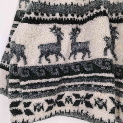 COLORADO ノルディック ハーフジップ フリースプルオーバー メンズ import:M