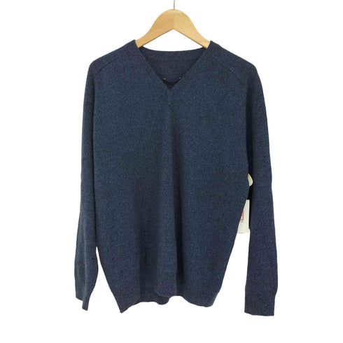 CASHMERE カシミヤ100 Vネックニット メンズ