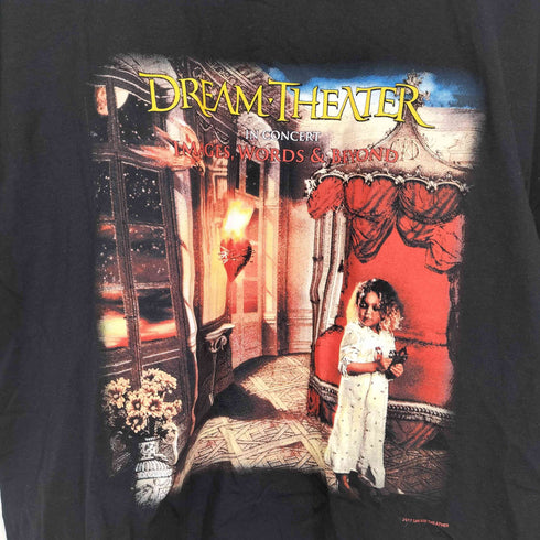 ギルダン GILDAN メタルバンドプリントTシャツ 2017 メンズ JPN:M