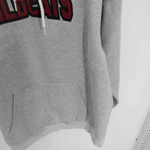 ヘインズ Hanes ULTIMATE COTTON 90S WILDCATS 刺繍 ヘビーウェイト カレッジ フーディー パーカー ビックサイズ メンズ import:L