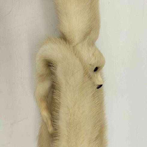 顔つきファーティペット レディース