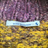 ミナペルホネン mina perhonen カシミヤ混 ニット レディース import:M