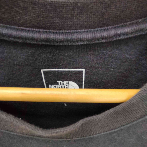 ザノースフェイス THE NORTH FACE 22AW L/S TRANS ANTARCTICA TEE ロングスリーブ トランスアンタークティカ ティー メンズ import:L