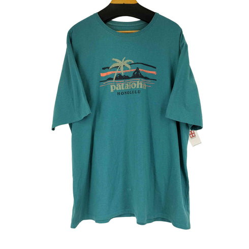 パタゴニア patagonia フロントプリント S/S Tシャツ メンズ XXL