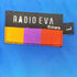 radio eva EVANGELION 2TONE DOWN JACKET メンズ JPN:L