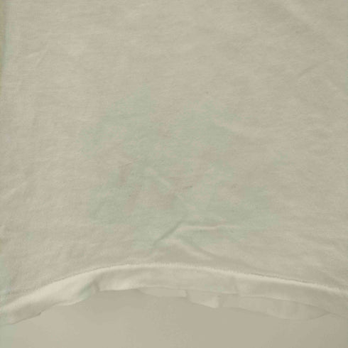 チャンピオン Champion USA製 シングルステッチ トリコタグ カレッジロゴプリントTシャツ メンズ import:L