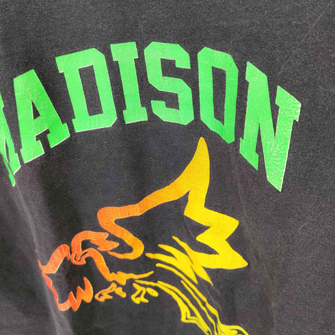 フルーツオブザルーム FRUIT OF THE LOOM HEAVY COTTON プリントVネックTシャツ メンズ