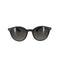 レイバン Ray-Ban イタリア製 LITEFORCE ボストンサングラス メンズ