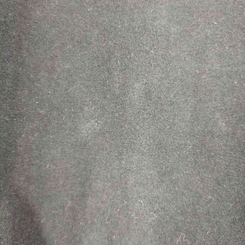 フルーツオブザルーム FRUIT OF THE LOOM FOTL 企業ロゴ プリント クルーネックTシャツ メンズ JPN:XL