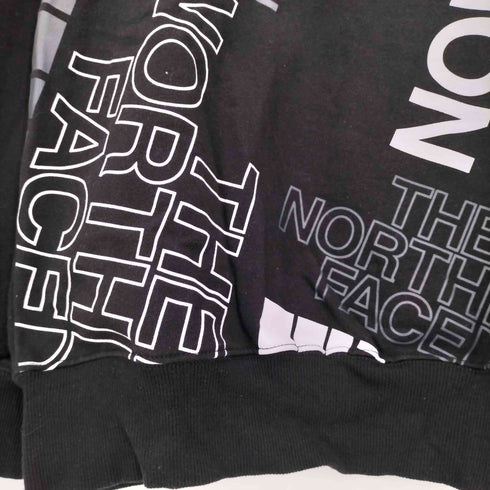 ザノースフェイス THE NORTH FACE Graphic Injection Crew グラフィック クルーネック スウェット メンズ import:M