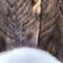 fur canada MINK FUR ミンクファージャケット レディース 6