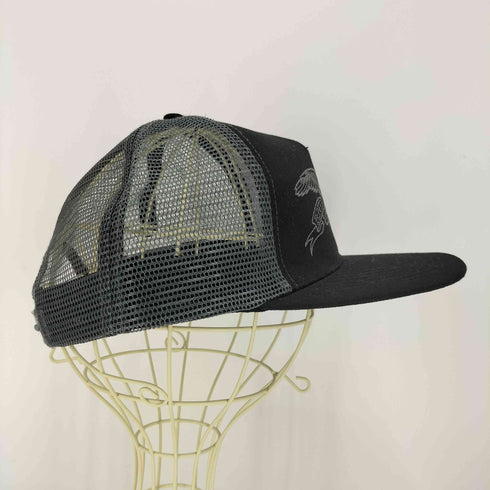 ANTI HERO ASIC EAGLE SNAPBACK MESH HAT 5パネル キャップ メンズ