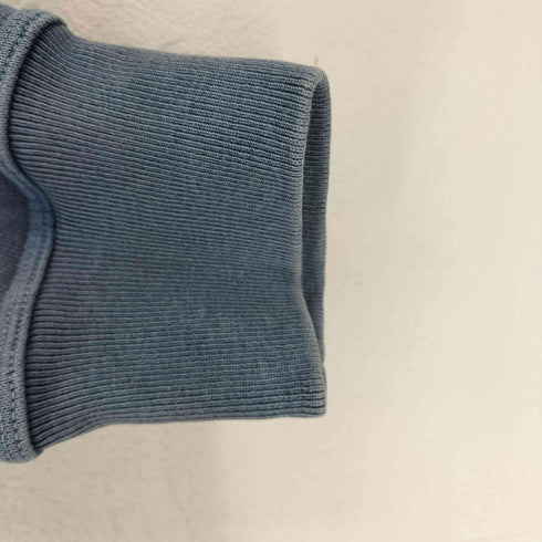 ステューシー Stussy STOCK LINK CREW PIGMENT DYED メンズ import:L