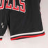 ミッチェルアンドネス mitchell&ness JUST DON チームロゴ メッシュショーツ メンズ import:L