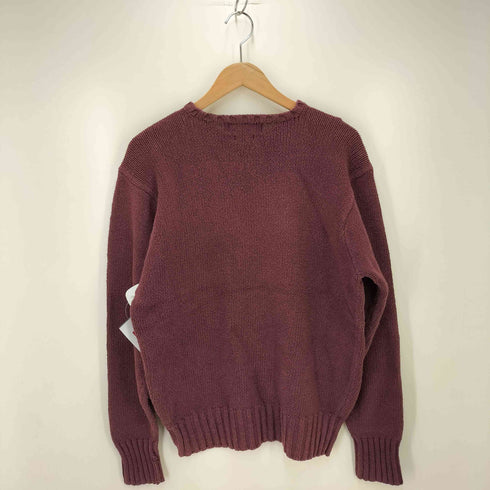 ポロバイラルフローレン Polo by RALPH LAUREN スモールポニー刺繍 コットンニット メンズ JPN:L