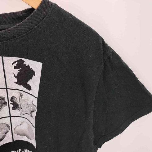 ARCHIVE BOLD RED MOSS クロップド丈 クルーネックTシャツ Y2K レディース FREE