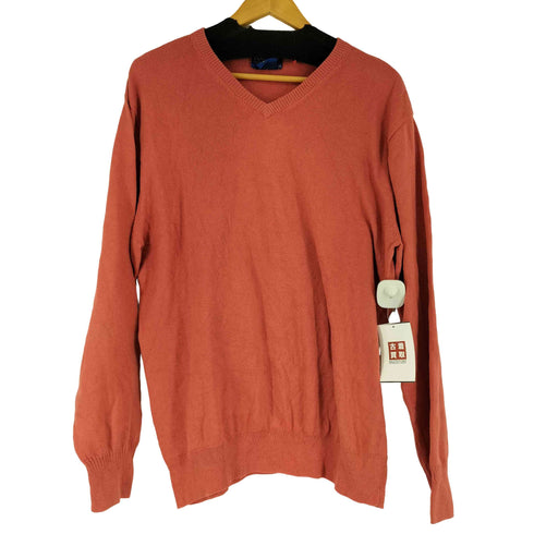 ペンドルトン PENDLETON カシミヤ混Vネックコットンニット メンズ import:M