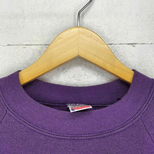 フルーツオブザルーム FRUIT OF THE LOOM 90S USA製 MT.RUSHMOREプリント 裏起毛 ラグランスウェット メンズ import:XL