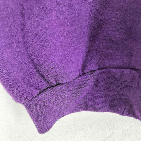 フルーツオブザルーム FRUIT OF THE LOOM 90S USA製 MT.RUSHMOREプリント 裏起毛 ラグランスウェット メンズ import:XL