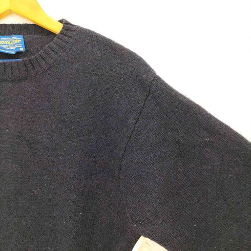 ペンドルトン PENDLETON WASHABLE WOOL ウール クルーネックニット メンズ import:M