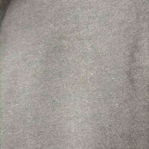 ザノースフェイス THE NORTH FACE ショートスリーブプロスペクターワングレインティー レディース import:S
