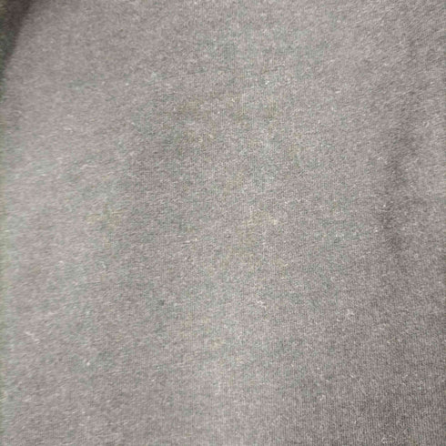 ザノースフェイス THE NORTH FACE ショートスリーブプロスペクターワングレインティー レディース import:S