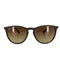 レイバン Ray-Ban ERIKA CLASSIC ボストンサングラス メンズ
