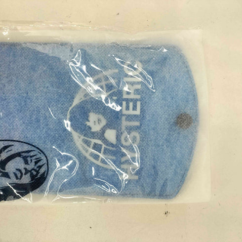 ヒステリックグラマー HYSTERIC GLAMOUR SOUND AND VISION マスクケース メンズ