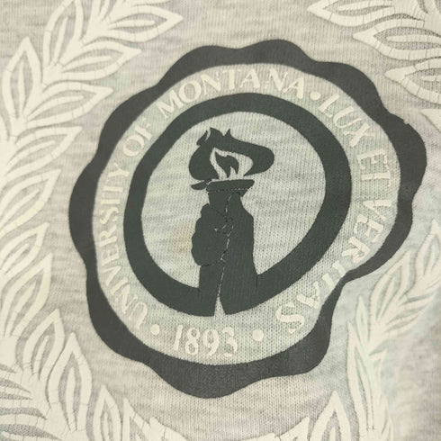 ラッセルアスレチック RUSSELL ATHLETIC 90S 刺繍タグ USA製 フットボール チームロゴ エンブレム プリント クルーネック スウェット トレーナー メンズ import:XL