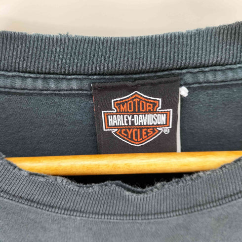 ハーレーダビッドソン HARLEY-DAVIDSON フレイムロゴ ダメージ加工 L/S Tシャツ メンズ