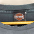 ハーレーダビッドソン HARLEY-DAVIDSON フレイムロゴ ダメージ加工 L/S Tシャツ メンズ