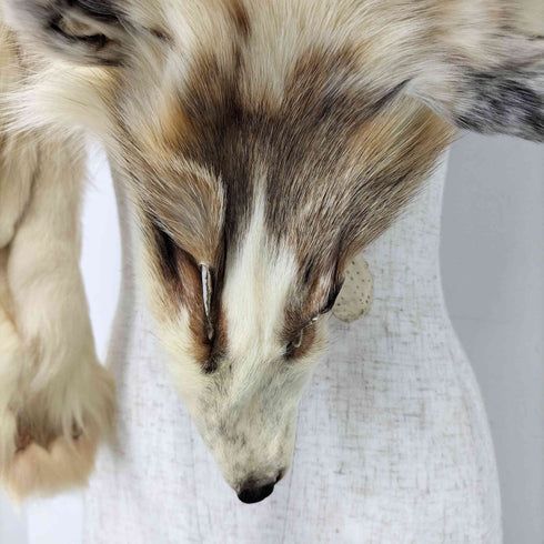 顔つき リアルファー ティペット レディース