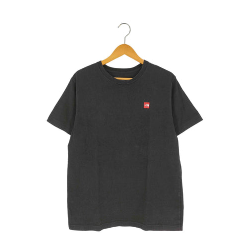 ザノースフェイス THE NORTH FACE スモールボックスロゴTシャツ メンズ import:XL
