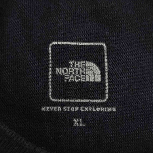 ザノースフェイス THE NORTH FACE スモールボックスロゴTシャツ メンズ import:XL