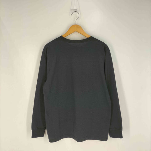 ザノースフェイス THE NORTH FACE L/S SMALL BOX LOGO TEE ロングスリーブスモールボックスロゴティー メンズ import:XL