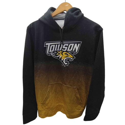 メキシコ製 TOWSON UIVERSITY ロゴ プリント グラデーション プルオーバー パーカー メンズ import:M