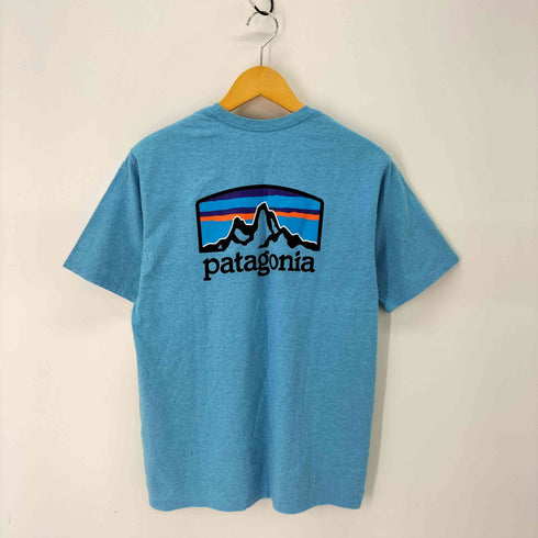 パタゴニア patagonia ROY HORIZONS バックロゴプリントTシャツ メンズ JPN:S