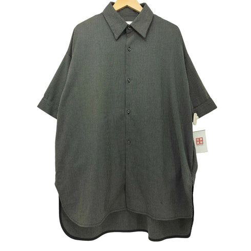 ルイス Luis ストライプ レギュラーカラー S/S シャツ メンズ FREE