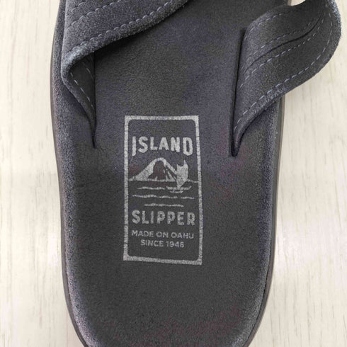 アイランドスリッパ ISLAND SLIPPER トングサンダル メンズ US:8