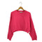 ザラ ZARA クロップド丈 クルーネックニット セーター レディース import:L