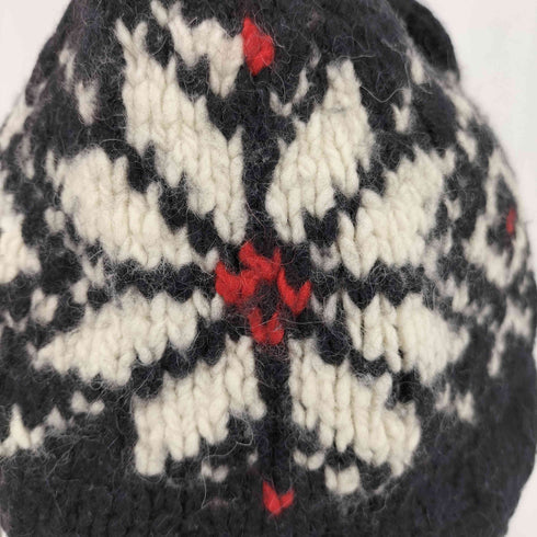 ポロバイラルフローレン Polo by RALPH LAUREN 90s アルパカ混 ニットビーニー メンズ FREE