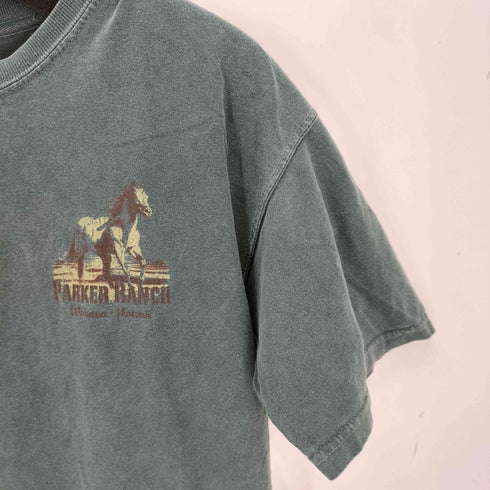 コンフォートカラーズ COMFORT COLORS 両面プリントクルーネックTシャツ メンズ import:M
