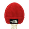 ザノースフェイス THE NORTH FACE TNF LOGO BOX CUFFED BEANIE メンズ